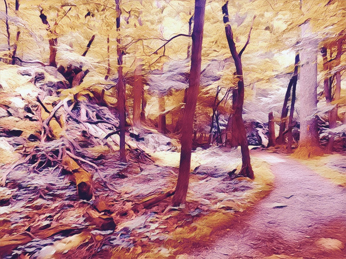 Artist In Residence Catoctin Mountain Park Us National - 
