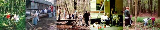 A collage of volunteer opportunities, left to right, trail work, cabin camp cleanups, campground hosts, and exotic plant removal project.