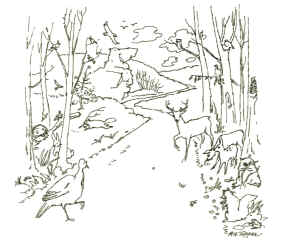 Self-Guided Field Trips - Catoctin Mountain Park (U.S ...