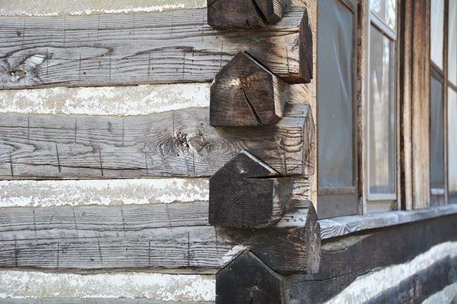Outside corner of cabin made of hand-hewn chestnut logs