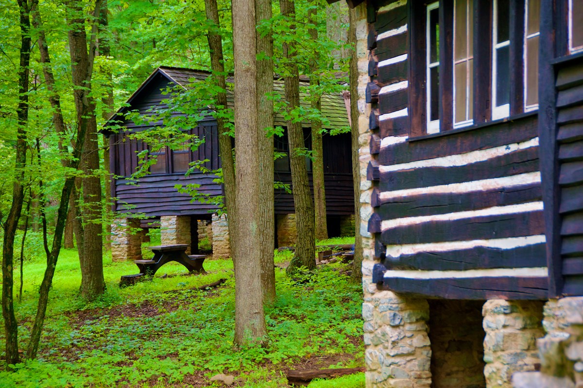 Two log cabins surrounded by trees