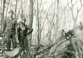 CCC workers clearing trails in the forest.