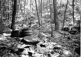 Old mash barrels hidden in the woods.