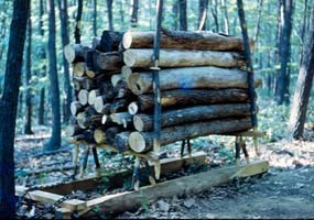 Wagon carrying logs to the hearth site for stacking.