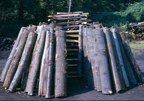 Wood is stacked by a collier, leaving a chimney in the center.