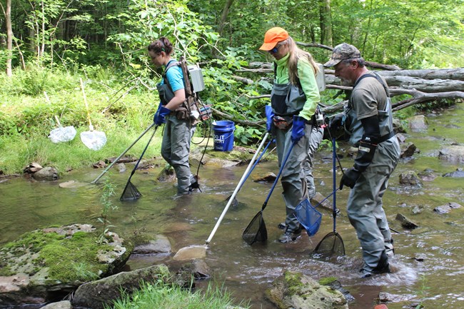 Three people in chest-high waders holding nets in a stream.