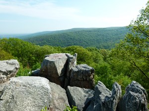 Enjoy the view. Photo of Chimney Rock, one of Catoctin Mountain Park's scenic vistas. Enjoy the view. Photo of Chimney Rock, one of Catoctin Mountain Park's scenic vistas.