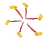 Stamens Stamens