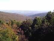 Nature and Science Nature and Science