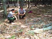 Nature and Science Nature and Science