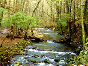 Nature and Science Nature and Science