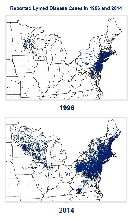 These maps show the distribution of reported cases of Lyme disease in 1996 and 2014. Each dot represents an individual case placed according to the patient’s county of residence, which may be different than the county of exposure.