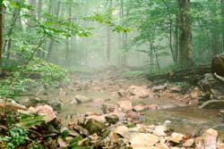 Nature and Science Nature and Science