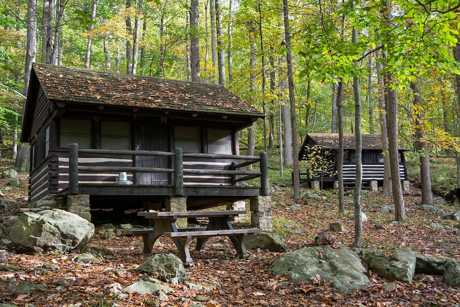 Log cabins surrounded by trees