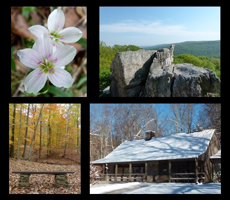 Four seasons of fun in Catoctin Mountain Park! Photos: Spring Beauty flowers, Chimney Rock in the Summer, Fall Colors, the visitor center in the winter.