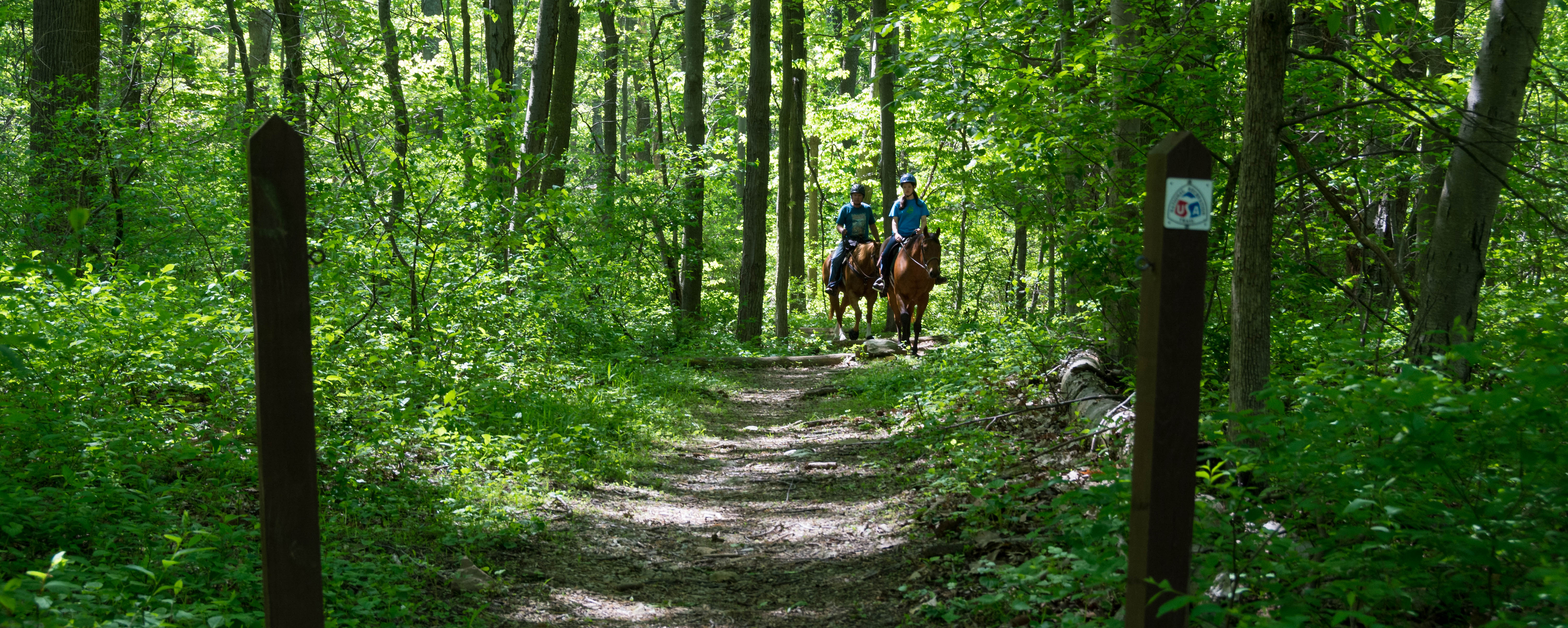 Horse Trails Catoctin Mountain Park U.S. National Park Service