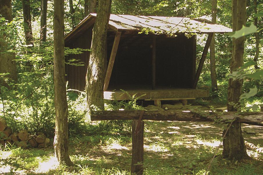 Image of Adirondack Shelter Image of Adirondack Shelter