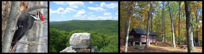 Wildlife watching (Pileated woodpecker), hiking (Chimney Rock) and cabin camping (Camp Misty Mount) are just a few of the things to do in Catoctin Mountain Park.