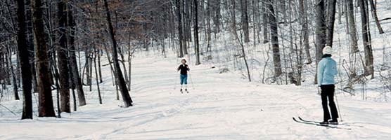 Two cross country skiers enjoying the winter weather.