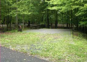 CFSP site 98