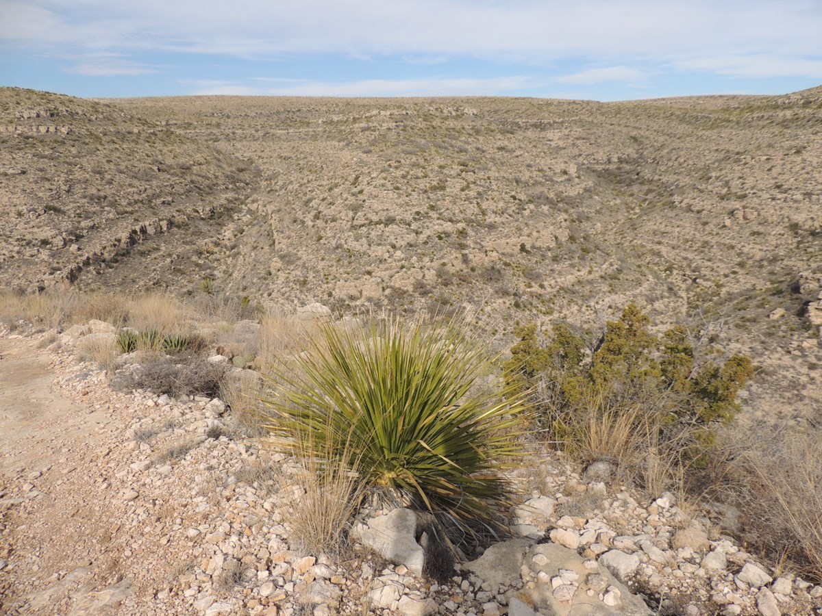 View of Rattlesnake Canyon