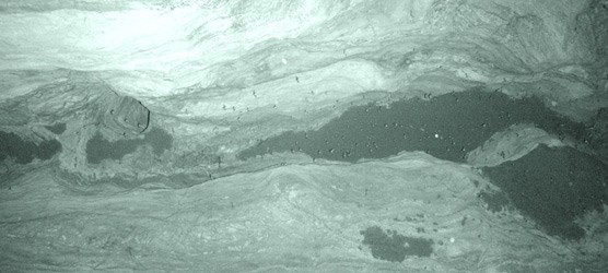 Infrared photo of bats in Bat Cave within Carlsbad Cavern.