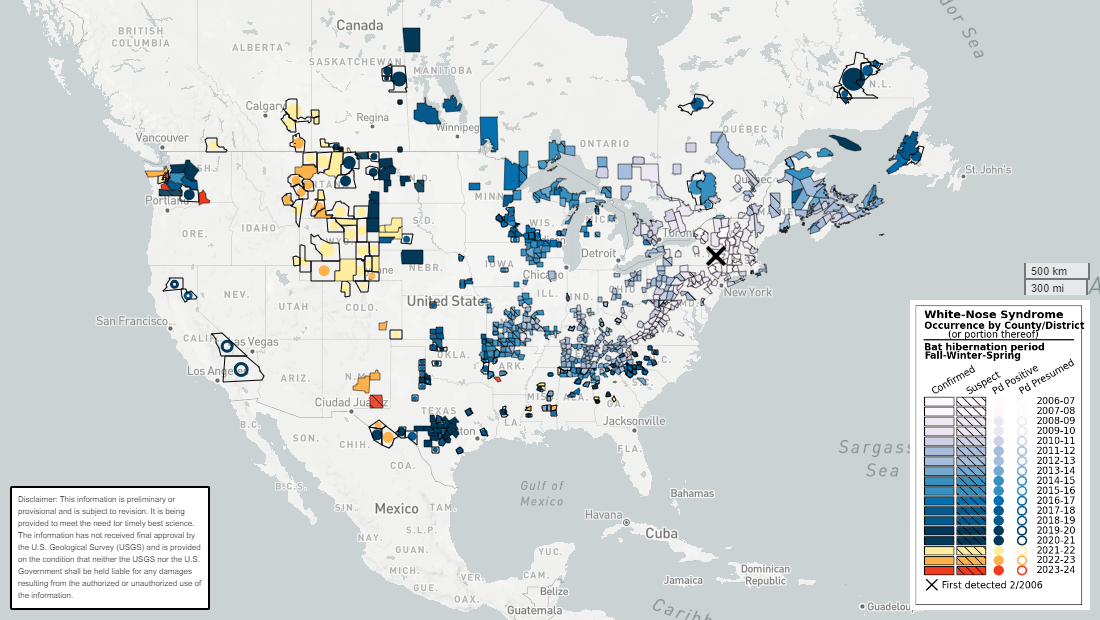 Map showing where white-nose syndrome has spread. Map showing where white-nose syndrome has spread.