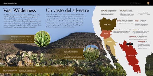 Image of the Vast Wilderness exhibit.