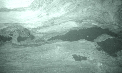 Infrared photo of the Brazilian (aka Mexican) free-tailed bat roost in Bat Cave in Carlsbad Cavern. Notice that bats do not sleep all day – some are flying around.