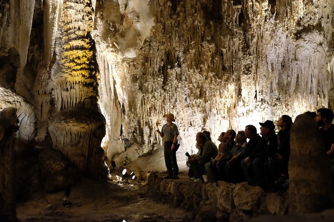 Photo of ranger and visitors on a King's Palace Tour.