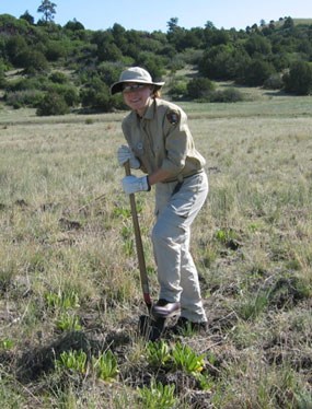 color photograph of intern, Jessica Albrecht, removing invasive plants