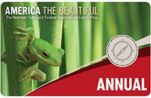 annual pass with green frog and green background