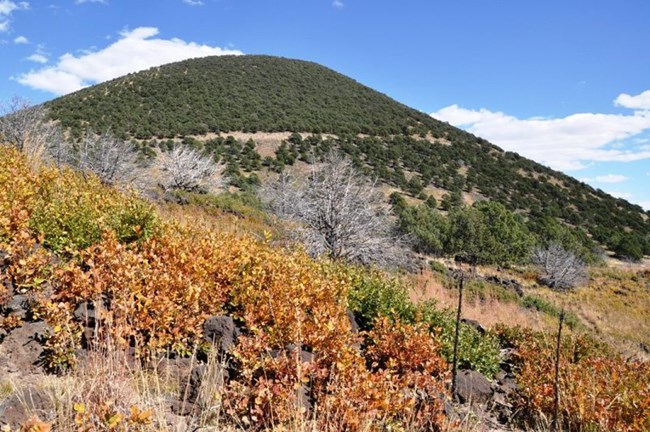 Fall Colors on Capulin Volcano