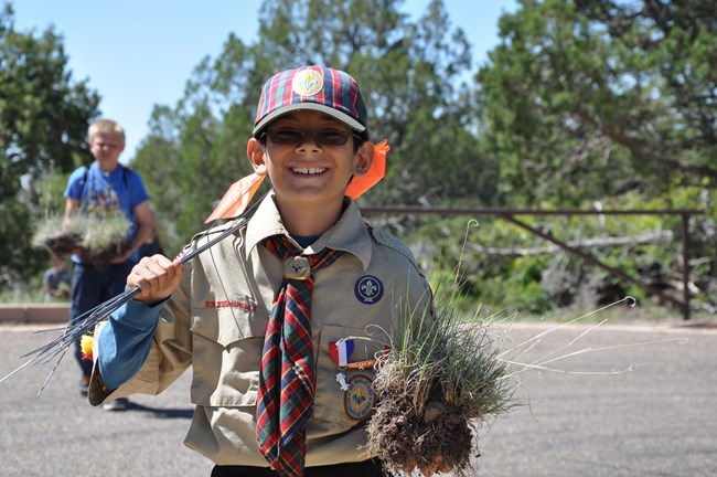 A Scout in uniform faces the camera.  He holds orange marking flags across his right shoulder.  He holds a clump of grass in his left hand. Another scout carries plants in the background. Trees define the horizon.