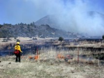 Prescribed fire