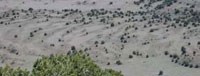 color photograph of rippled landscape