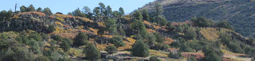 Boca Trail Guide Bottom Photo