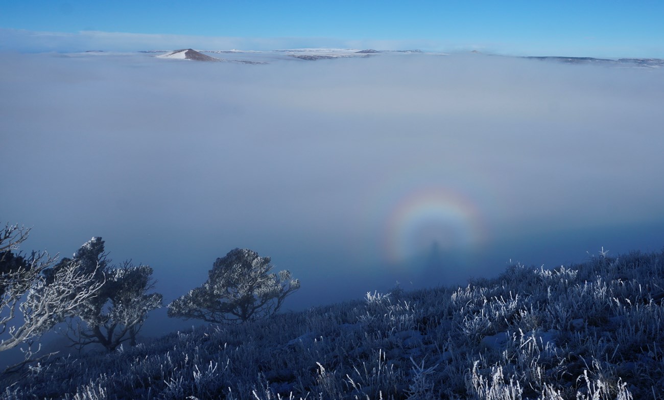 Double rainbow glory around person's head