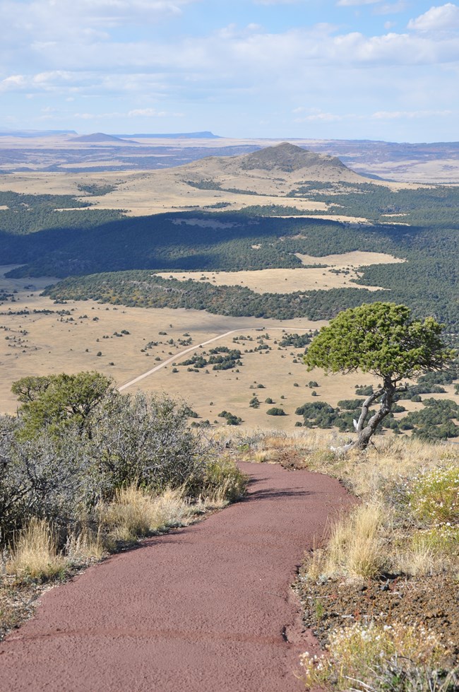 Summer on the rim