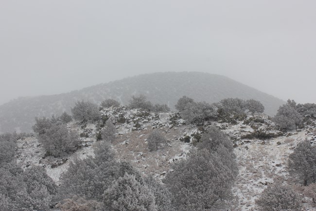 Looking up a mountainside covered in frosty vegetation.  The hill rolls to reveal a layer of fog which envelopes the forested mountain top.  Snow covers the ground beneath the plants.