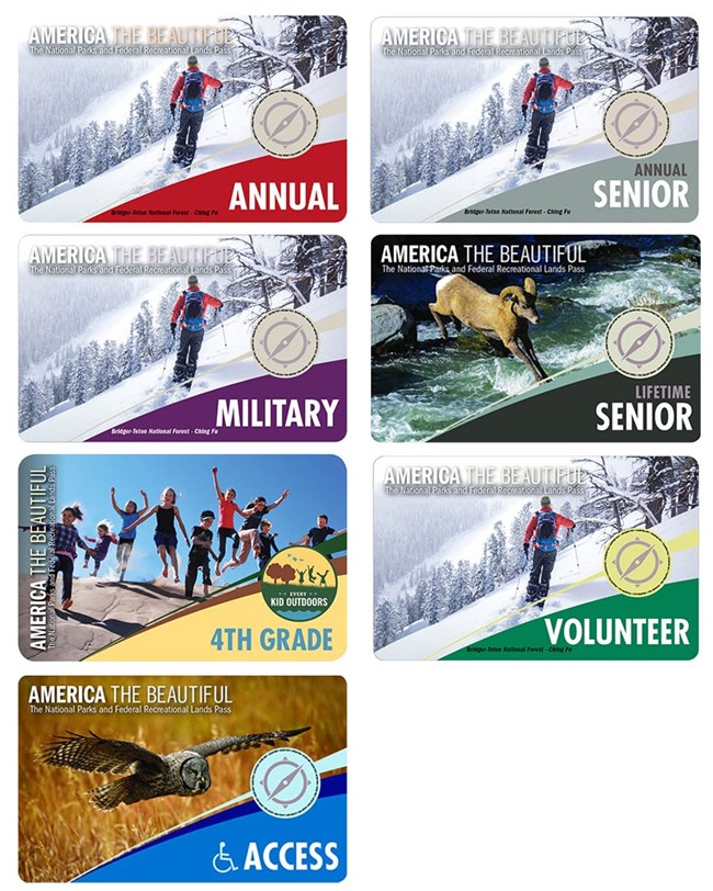 A collage of the 7 federal lands passes available