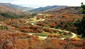 Surgarite Canyon State Park in fall