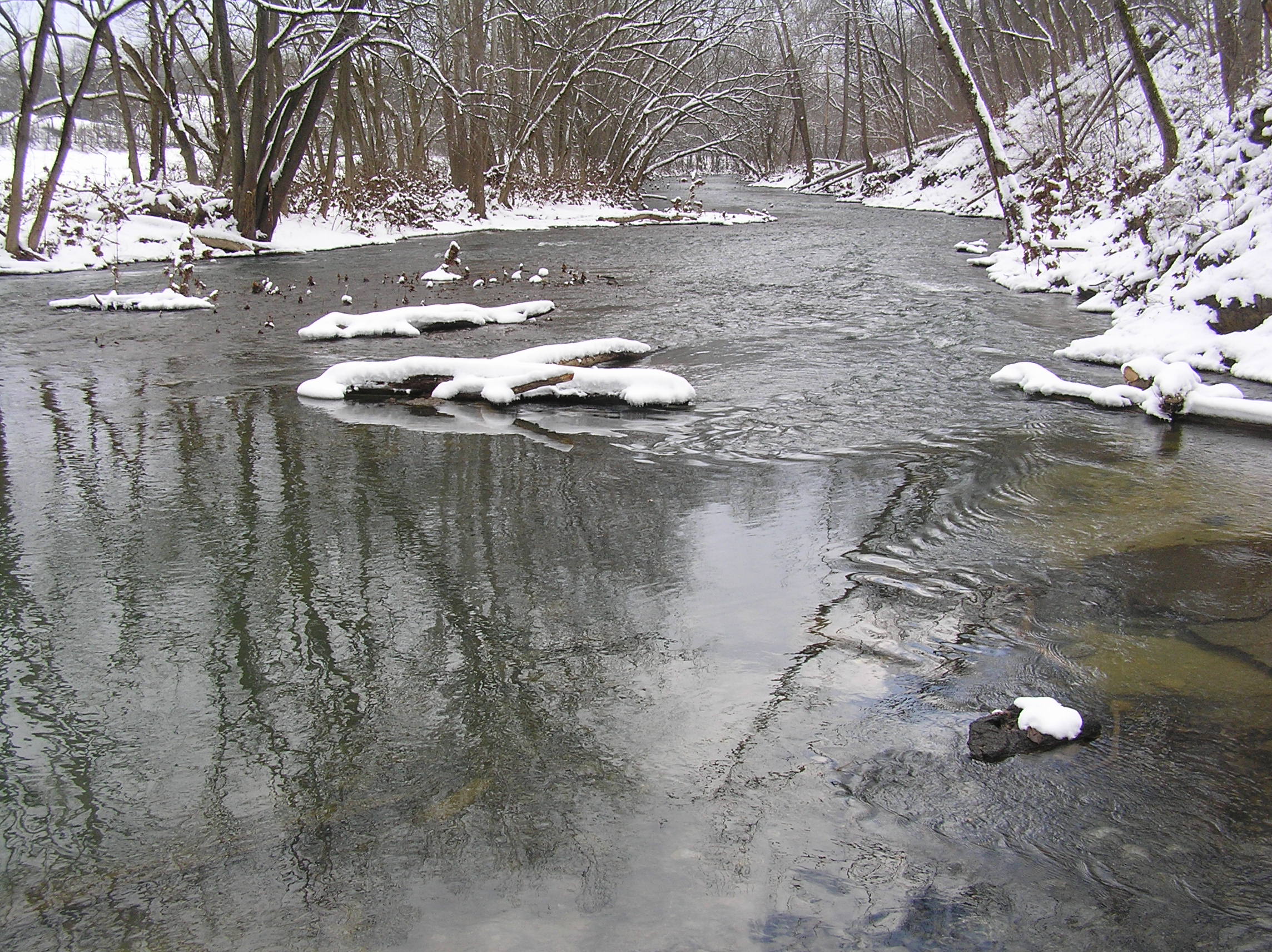The Shenandoah River