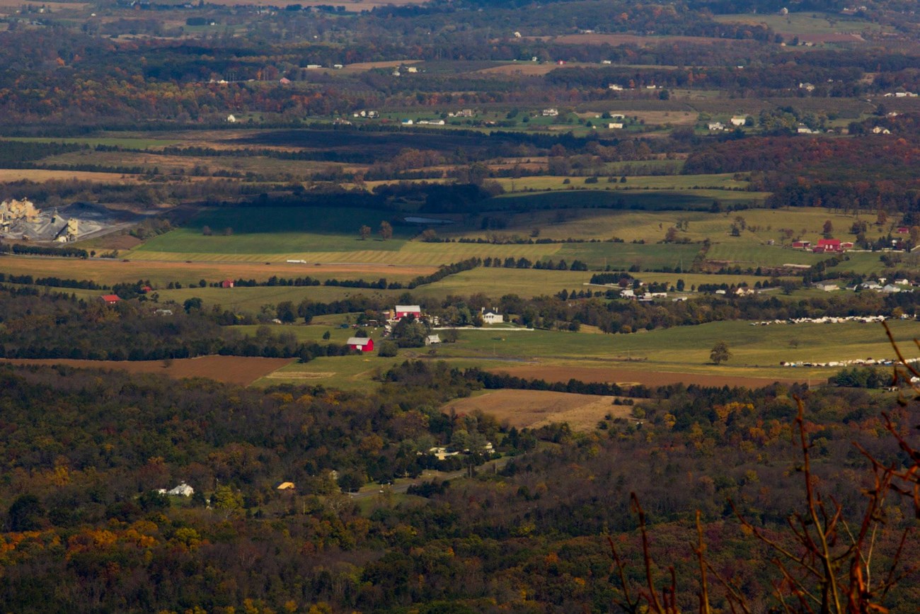 BG from Signal Knob