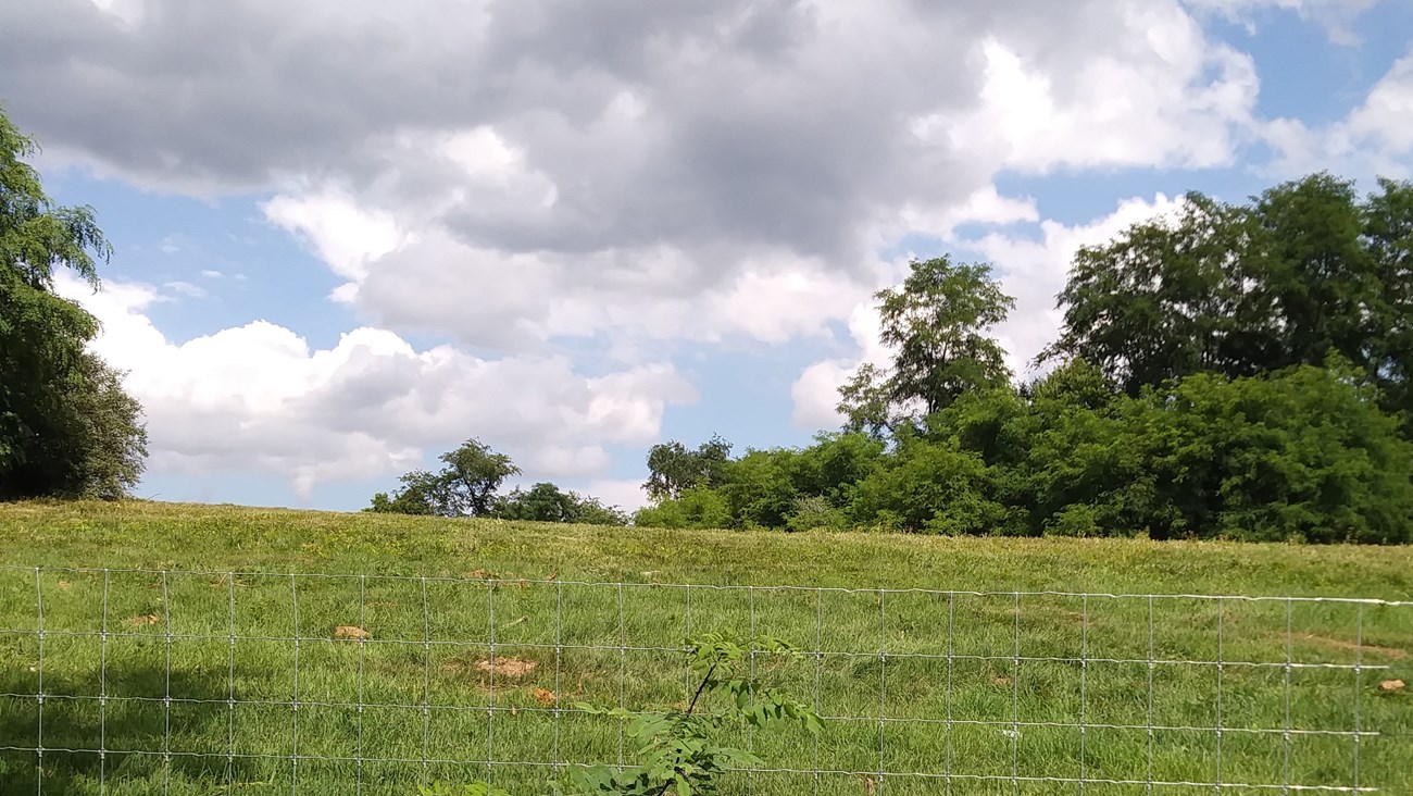 A mowed grass hilltop beyond a wire fence is lined with trees.