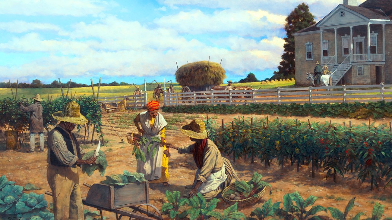 A color illustration shows enslaved workers in a garden of an antebellum style plantation manor.