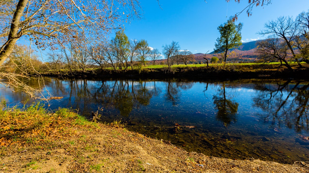 A river's still water reflect blue sky and autumn trees.