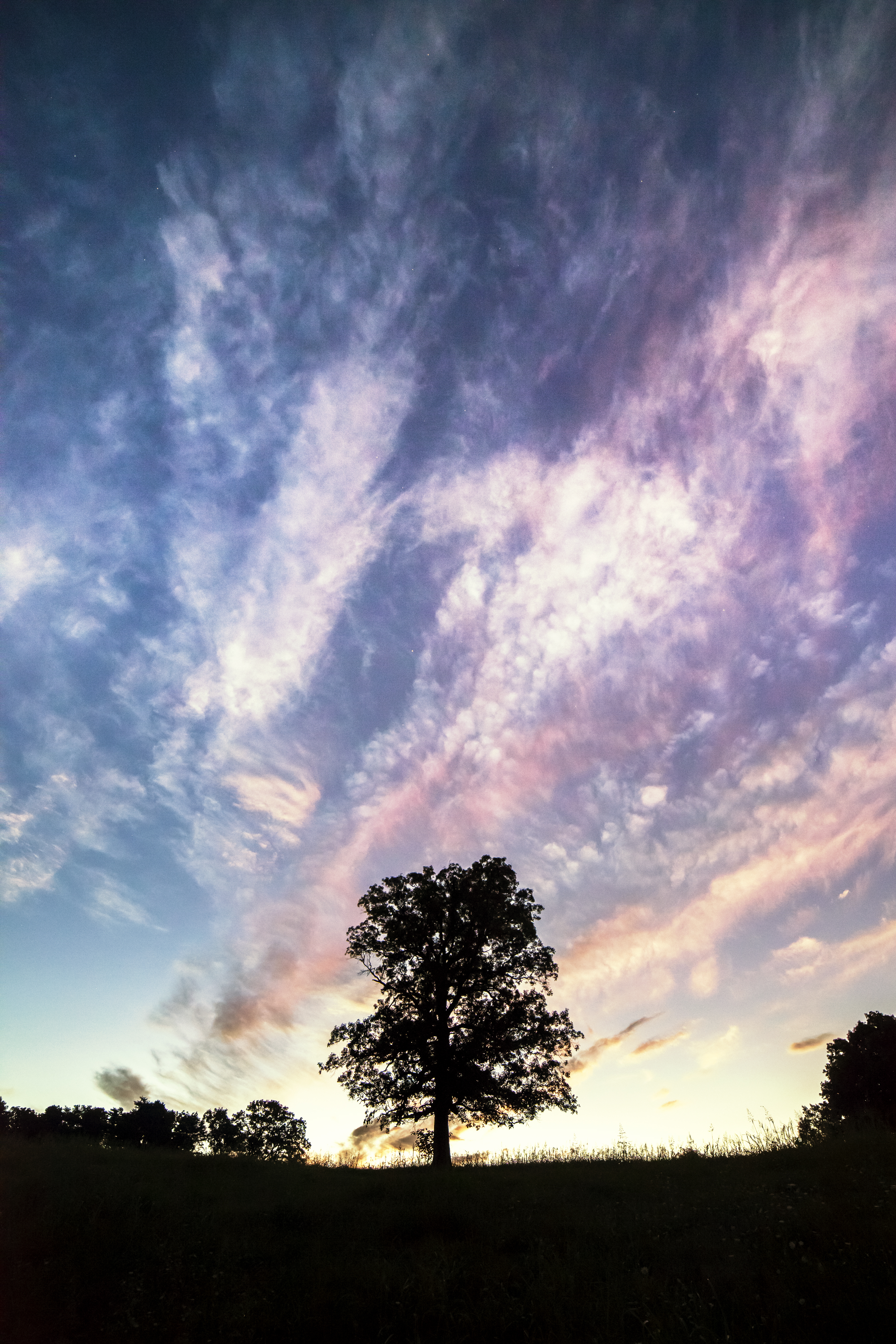 Sunset with sky streaked in dark purple and pink and stars showing over the silhouette of a tree.