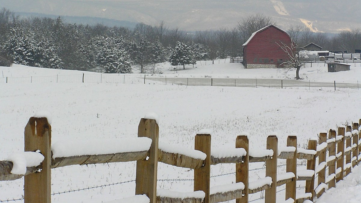 A wood rail fence lines a field with a red barn in the back.