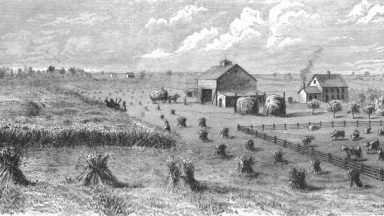 A drawing illustrates an 1800s farmhouse and barn among wheat fields and haystacks.